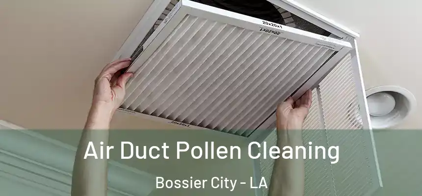  Air Duct Pollen Cleaning Bossier City - LA