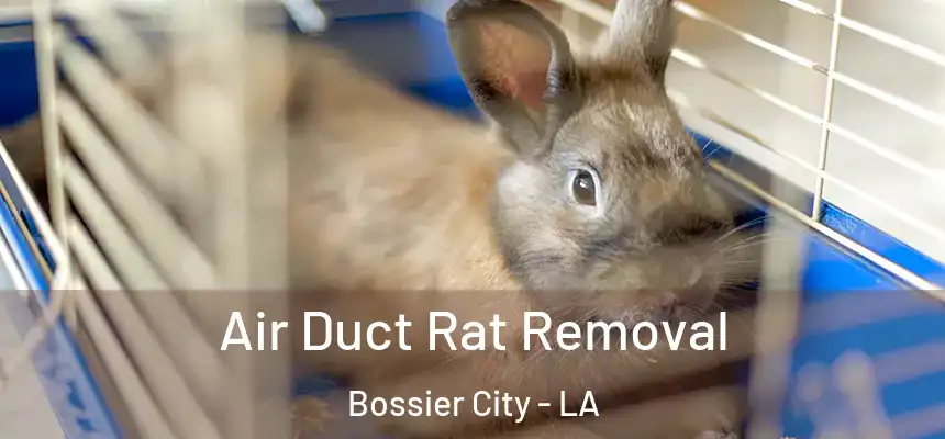  Air Duct Rat Removal Bossier City - LA