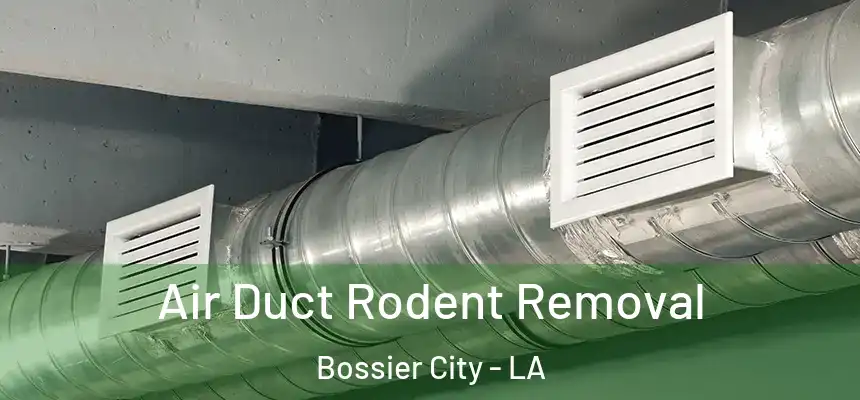  Air Duct Rodent Removal Bossier City - LA