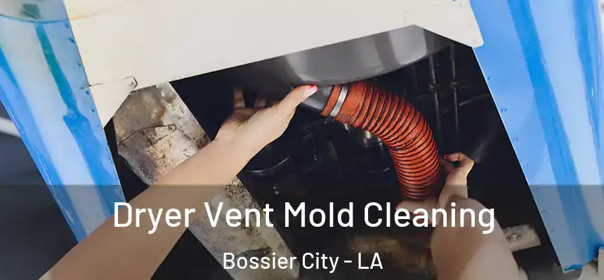  Dryer Vent Mold Cleaning Bossier City - LA
