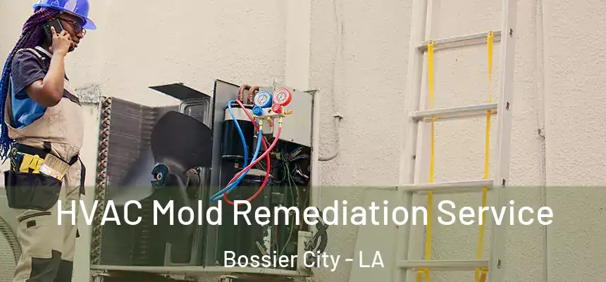 HVAC Mold Remediation Service Bossier City - LA
