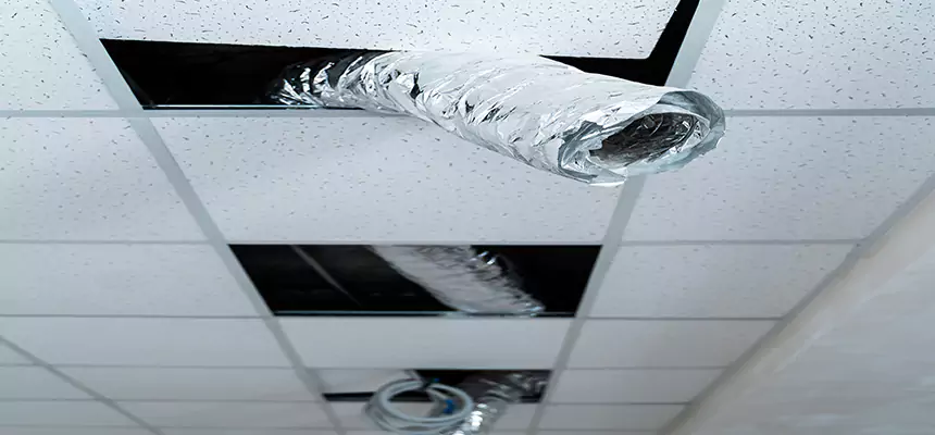 Affordable HVAC Sanitizing After Pest Removal in Bossier City