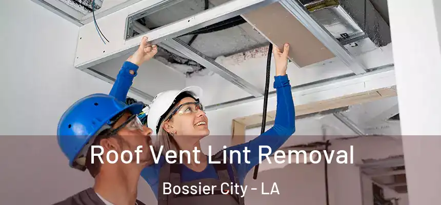  Roof Vent Lint Removal Bossier City - LA
