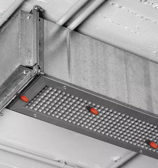 About Air Duct Cockroach Removal in Bossier City, LA