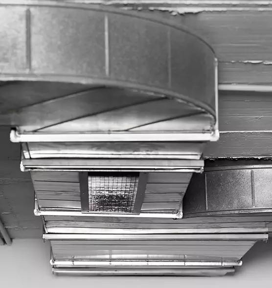 Professional Air Duct Pet Hair Removal in Bossier City, LA