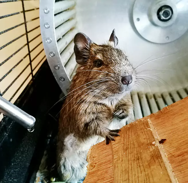 Why Homeowners & Businesses Trust Us Bossier City, LA