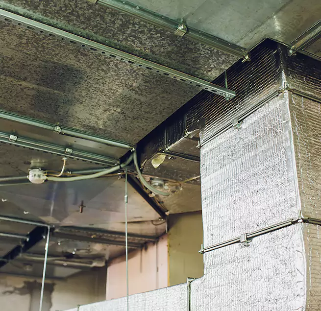 Why Homeowners & Businesses Trust Us in Bossier City, LA?